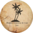 Pristine Coconut & Coir